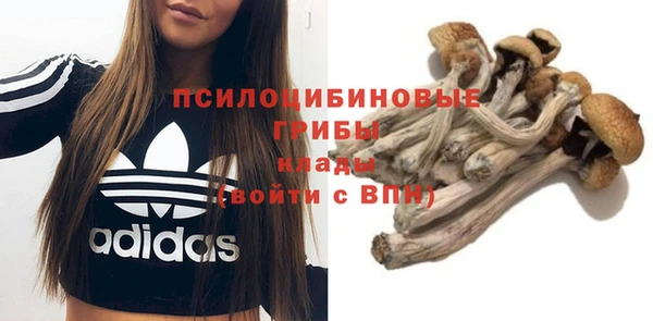шишки Вяземский