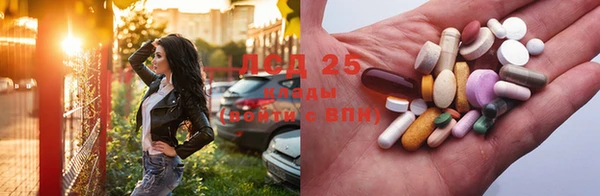 шишки Вяземский