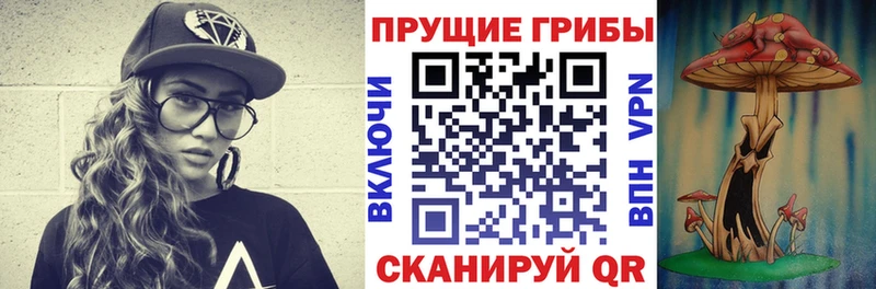 Галлюциногенные грибы GOLDEN TEACHER  наркошоп  Кяхта 